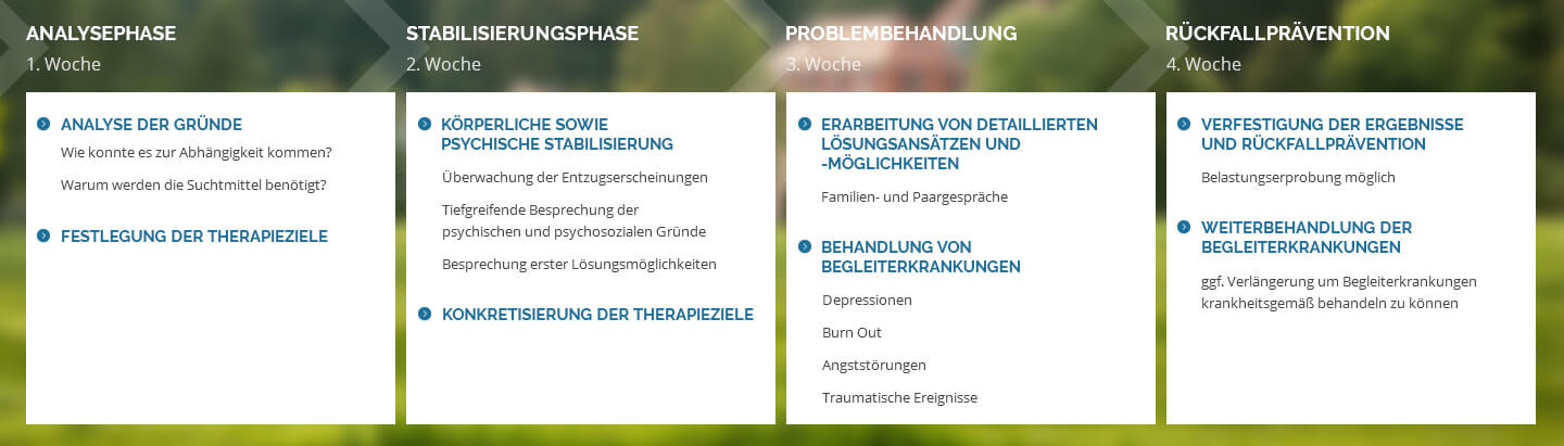 Unser_therapieplan_infografik